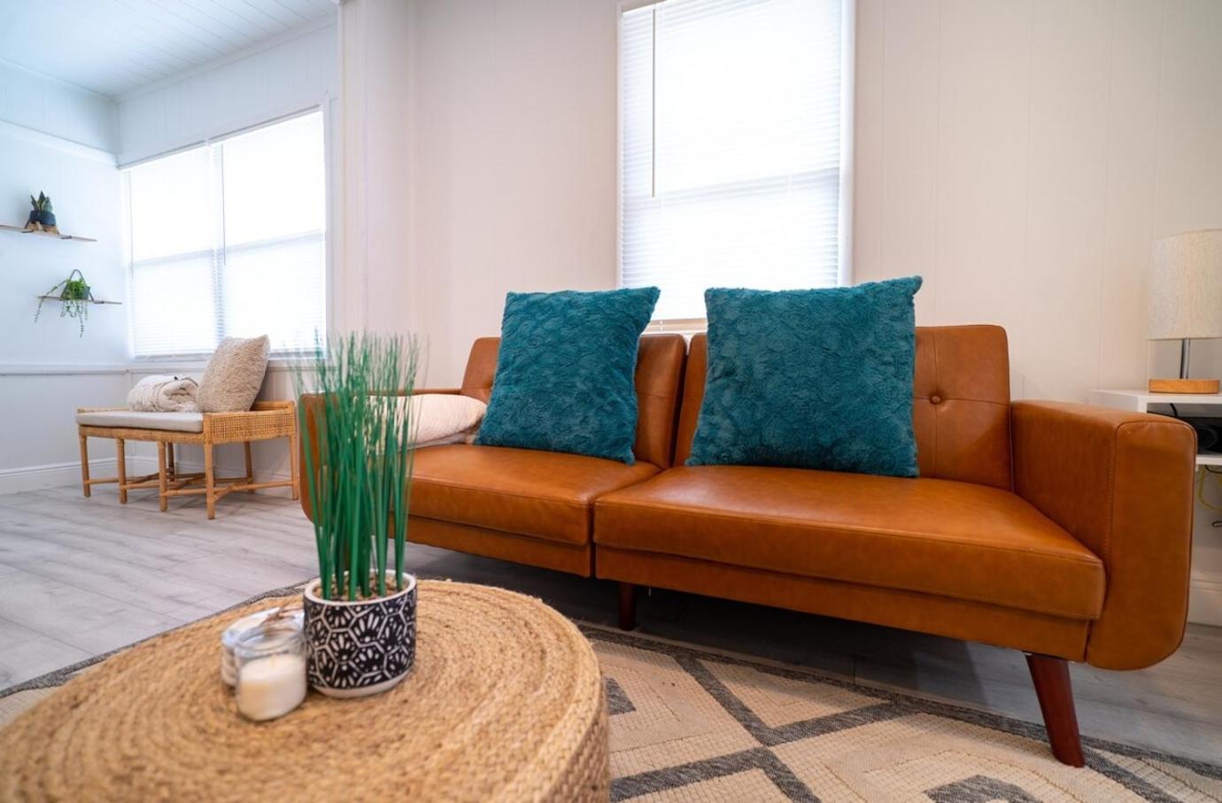 Homey Cozy Newly Renovated Stylish&Chic 7 Guests Tampa Dış mekan fotoğraf