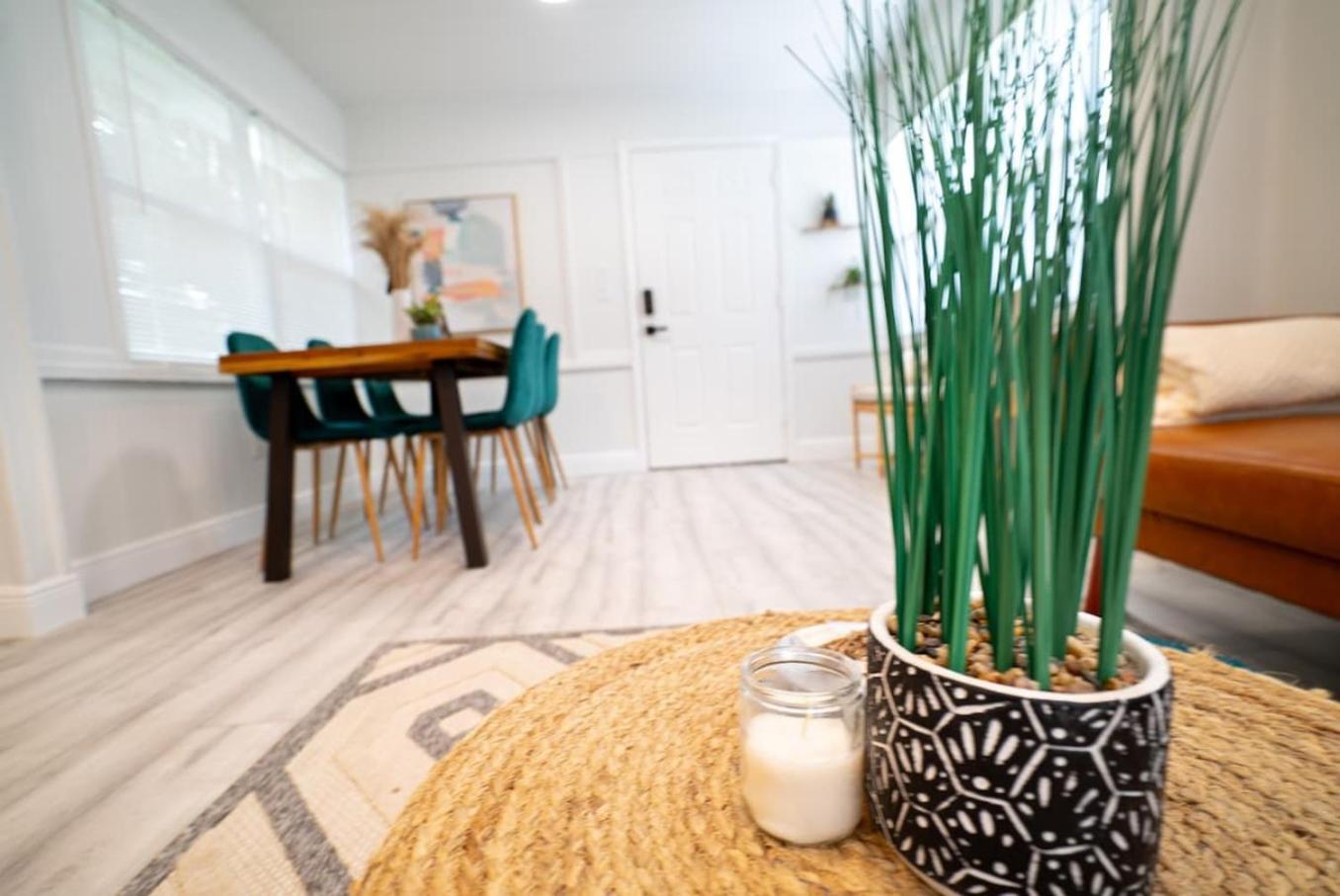 Homey Cozy Newly Renovated Stylish&Chic 7 Guests Tampa Dış mekan fotoğraf
